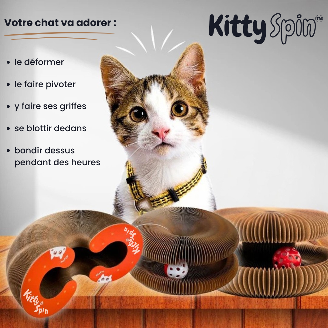 Tourbillon Félin™ | Griffoir interactif pour chats