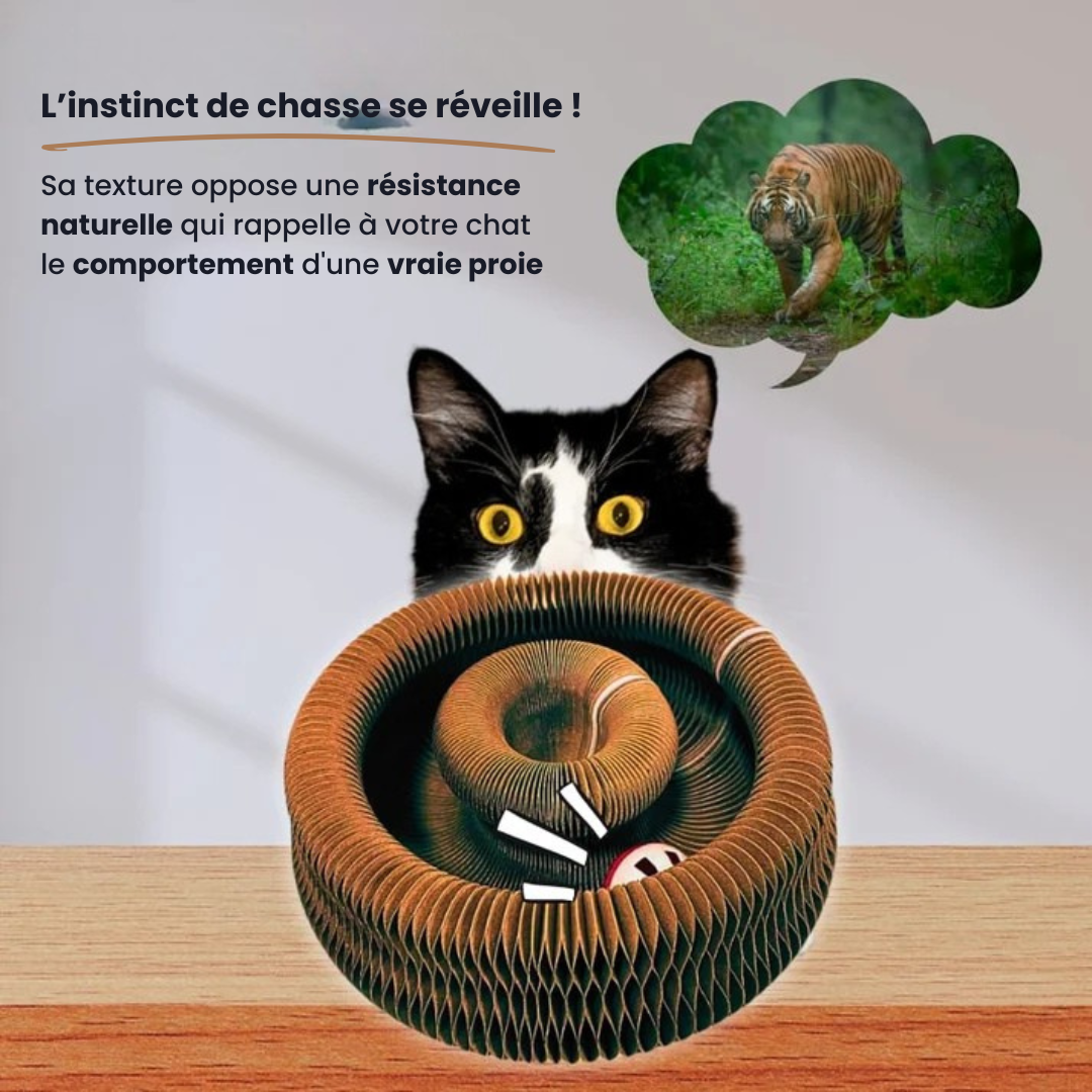 Tourbillon Félin™ | Griffoir interactif pour chats